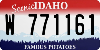 ID license plate W771161