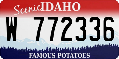 ID license plate W772336