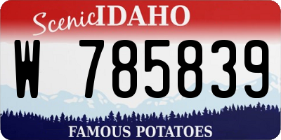 ID license plate W785839