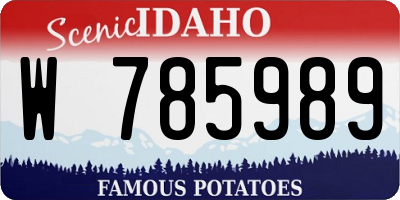 ID license plate W785989