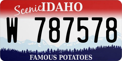 ID license plate W787578