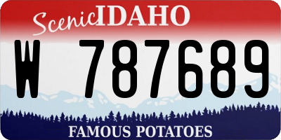 ID license plate W787689