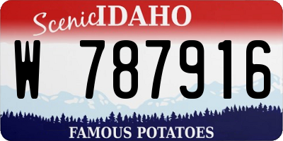 ID license plate W787916