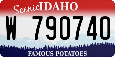 ID license plate W790740