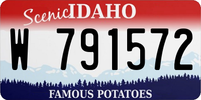 ID license plate W791572