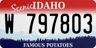 ID license plate W797803