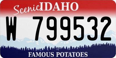 ID license plate W799532