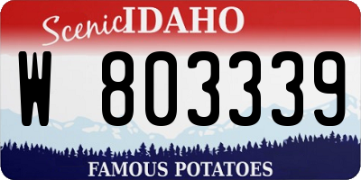 ID license plate W803339