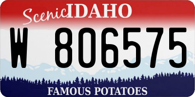 ID license plate W806575