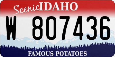 ID license plate W807436