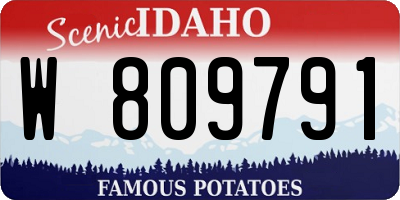 ID license plate W809791