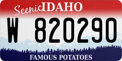 ID license plate W820290
