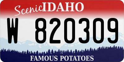 ID license plate W820309
