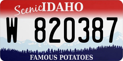 ID license plate W820387