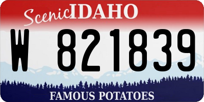 ID license plate W821839