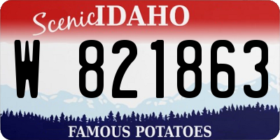 ID license plate W821863
