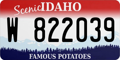 ID license plate W822039