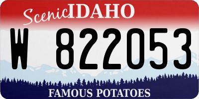ID license plate W822053