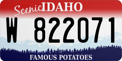 ID license plate W822071