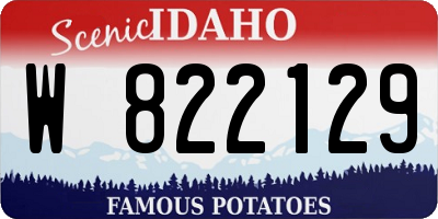 ID license plate W822129