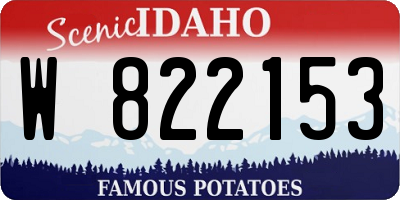 ID license plate W822153