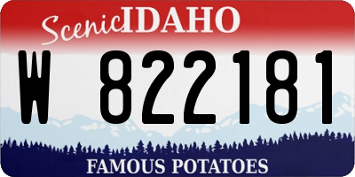 ID license plate W822181