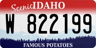 ID license plate W822199