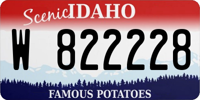 ID license plate W822228