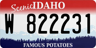 ID license plate W822231