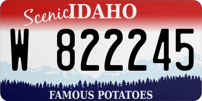 ID license plate W822245