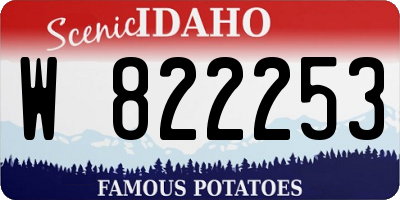 ID license plate W822253