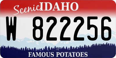 ID license plate W822256