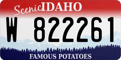 ID license plate W822261