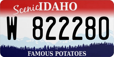 ID license plate W822280