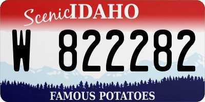 ID license plate W822282