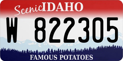 ID license plate W822305