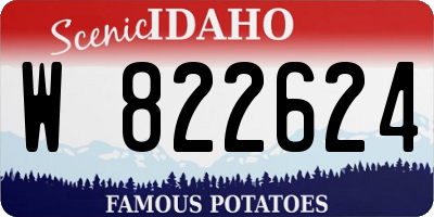 ID license plate W822624