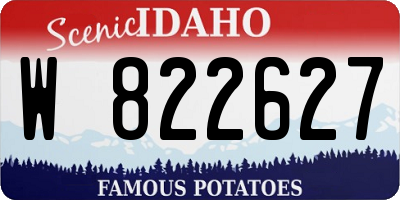 ID license plate W822627
