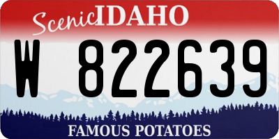 ID license plate W822639
