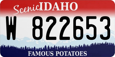 ID license plate W822653