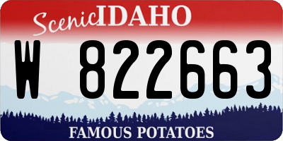 ID license plate W822663