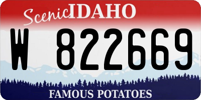 ID license plate W822669