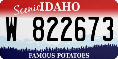 ID license plate W822673