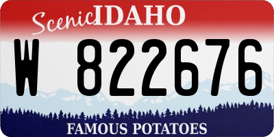 ID license plate W822676