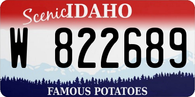 ID license plate W822689