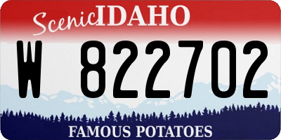 ID license plate W822702