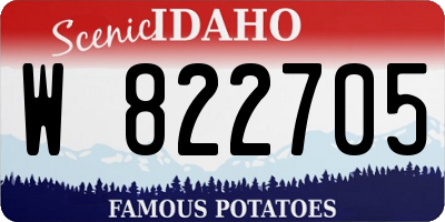 ID license plate W822705