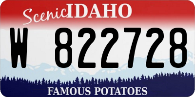 ID license plate W822728