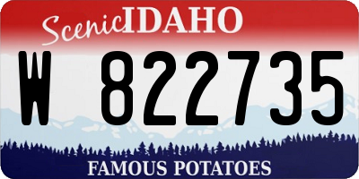 ID license plate W822735