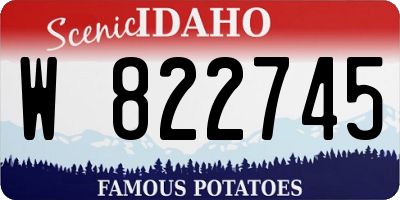 ID license plate W822745